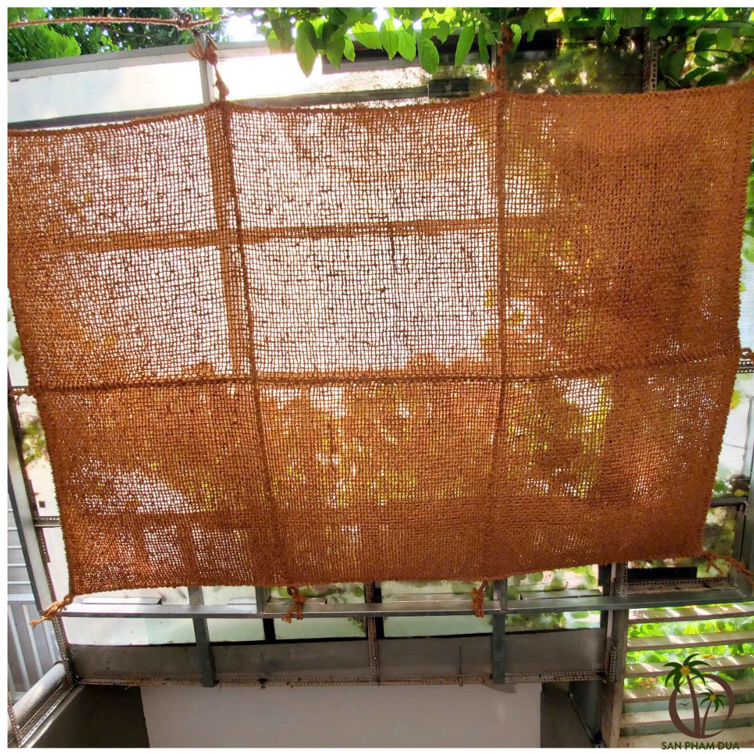 Sản Phẩm Dừa